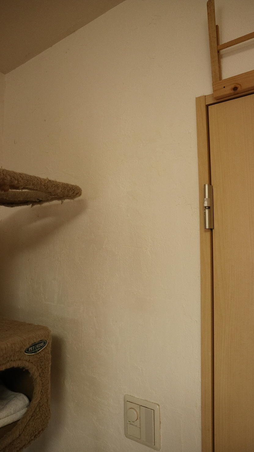 アフター画像 2