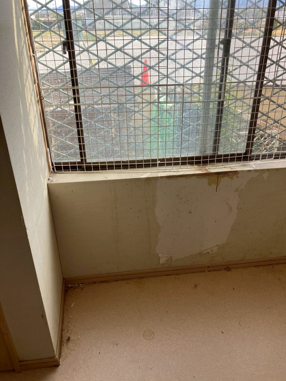 ビフォー画像 1