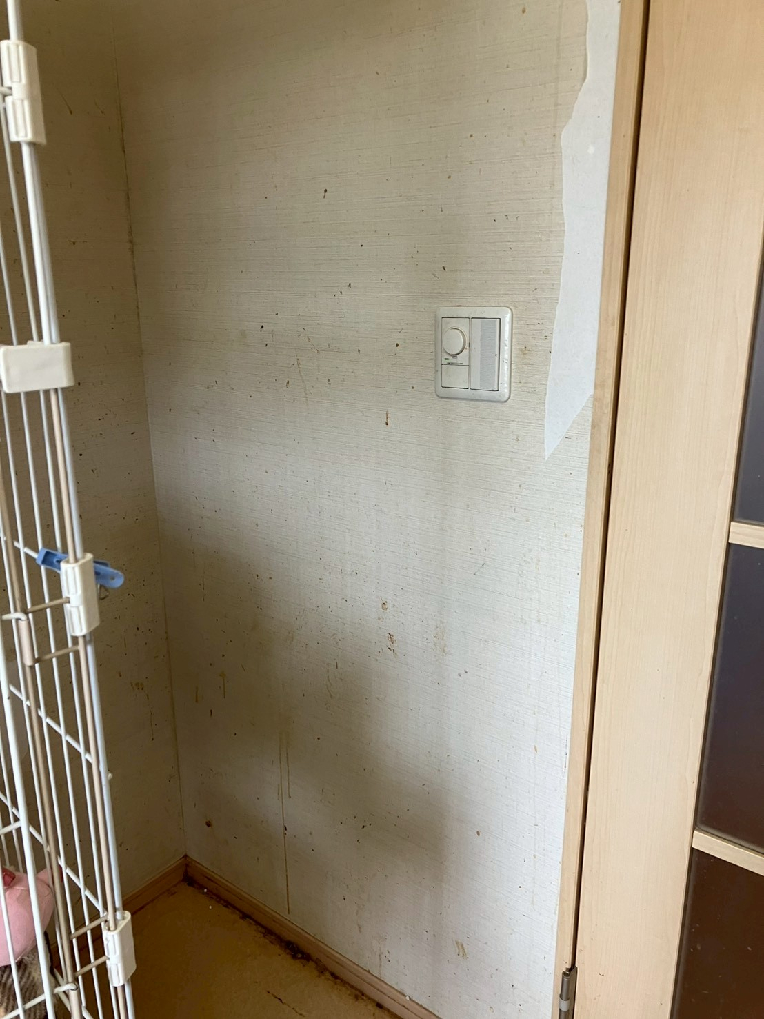 ビフォー画像 2