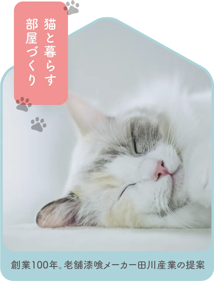 眠る猫