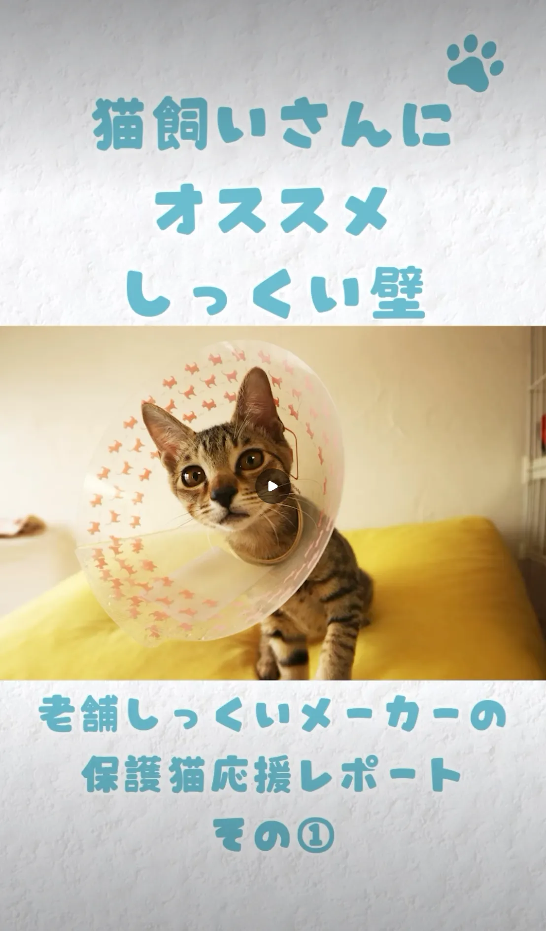 ワンハート大阪 Instagramリール